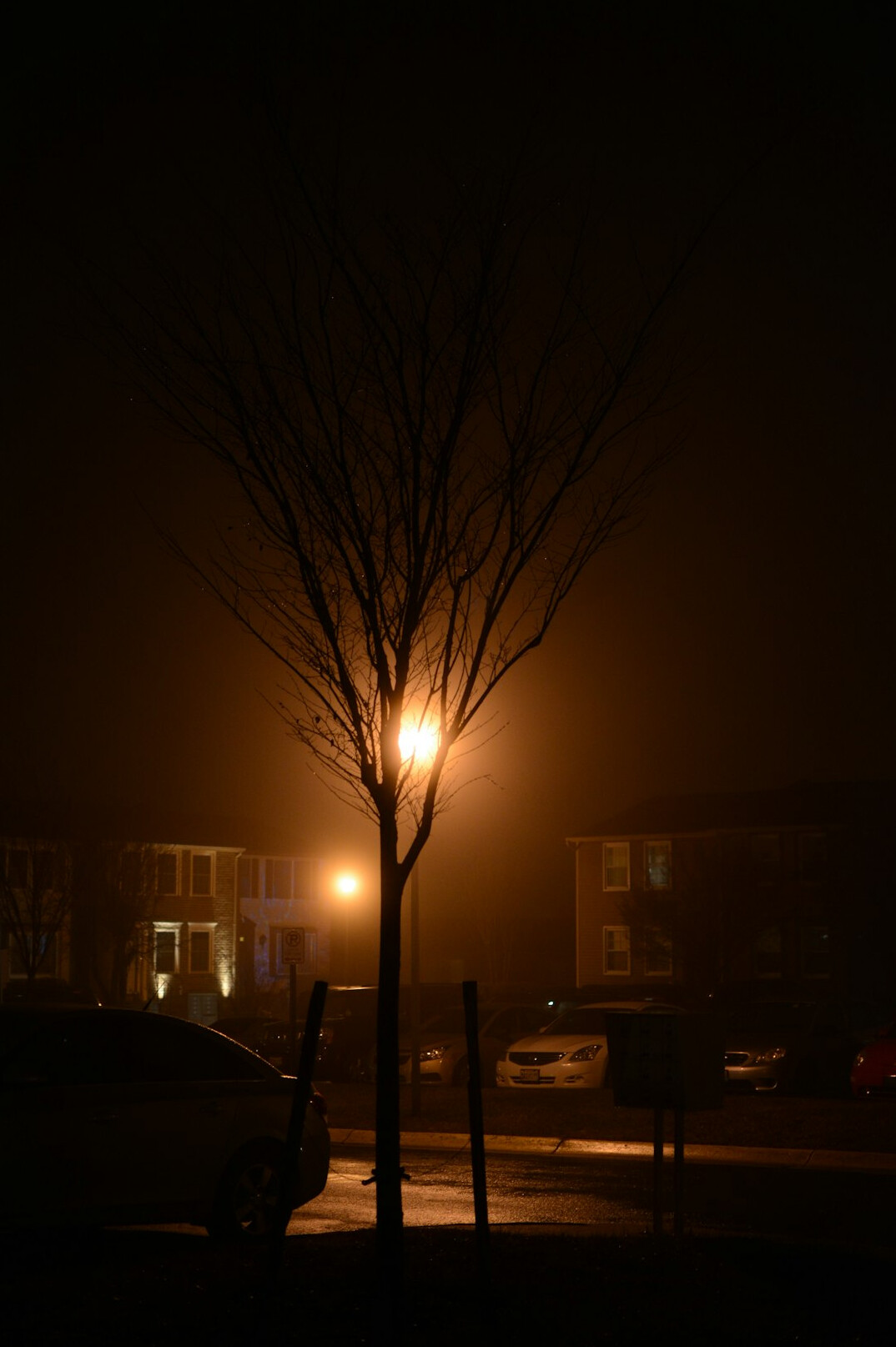 foggy street at dusk