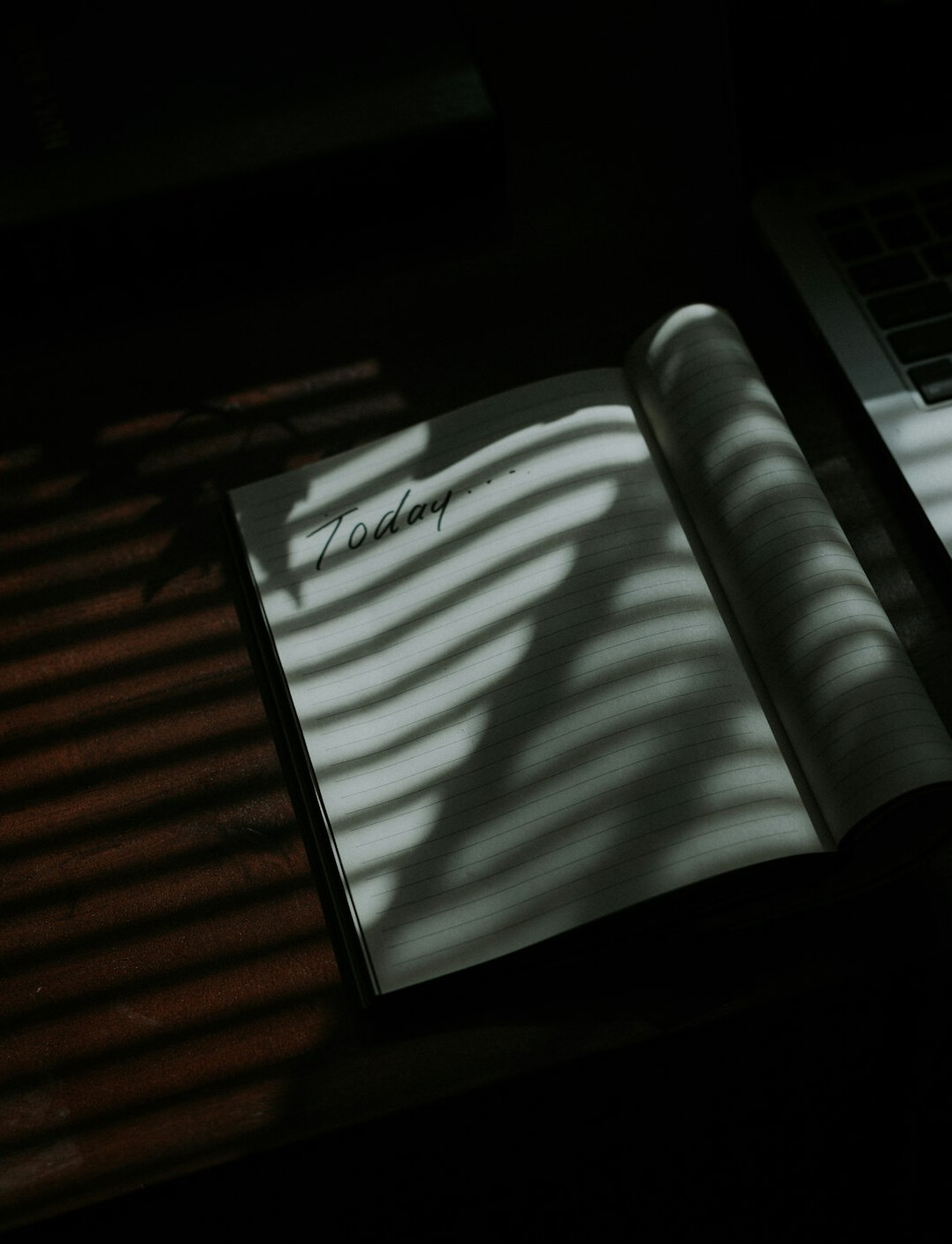 open mystery book with shadows